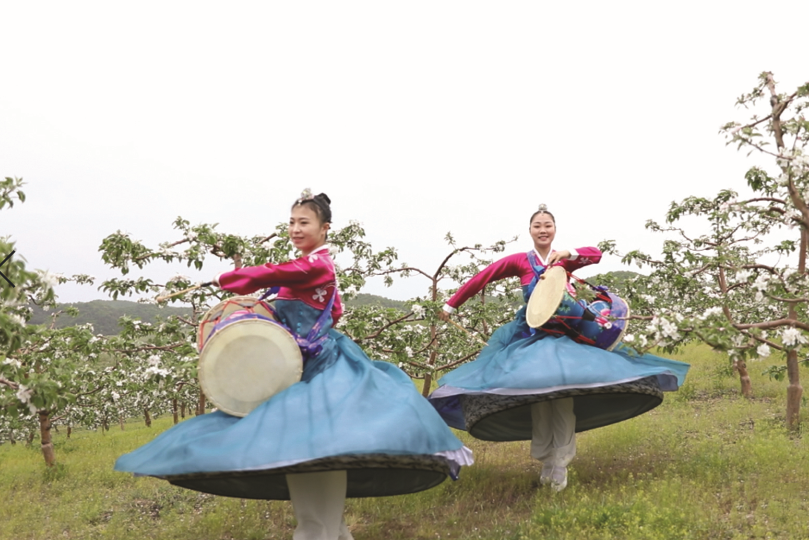 首届珲春孟岭苹果花嘉年华开启