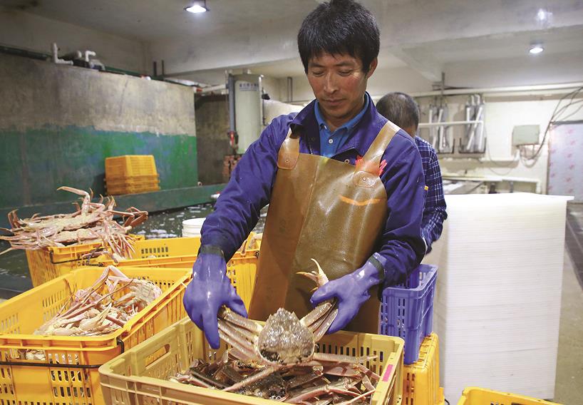 珲春市大力发展海洋经济企业工人在分拣螃蟹