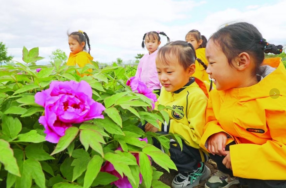 珲春金色摇蓝幼儿园组织孩子们前来赏花迎“六一”